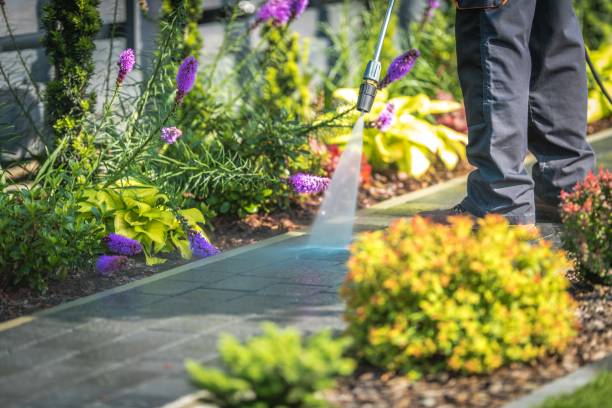 Best Restaurant Pressure Washing  in Elk City, OK